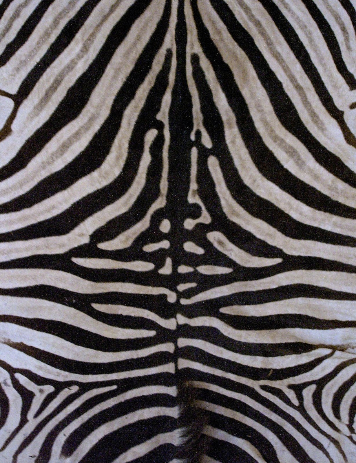 [IMAG0001w+(45).JPG]