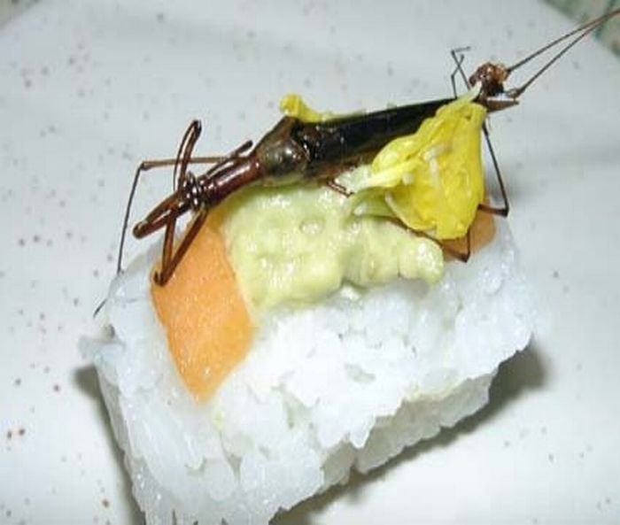 Sushi de insetos