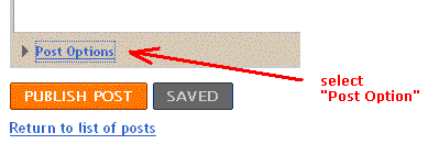 add code snippet to blogger option blogger in draft BlogPandit