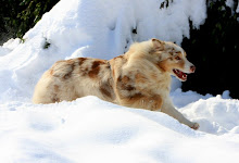 PHOTOGRAPHY HOME PAGE