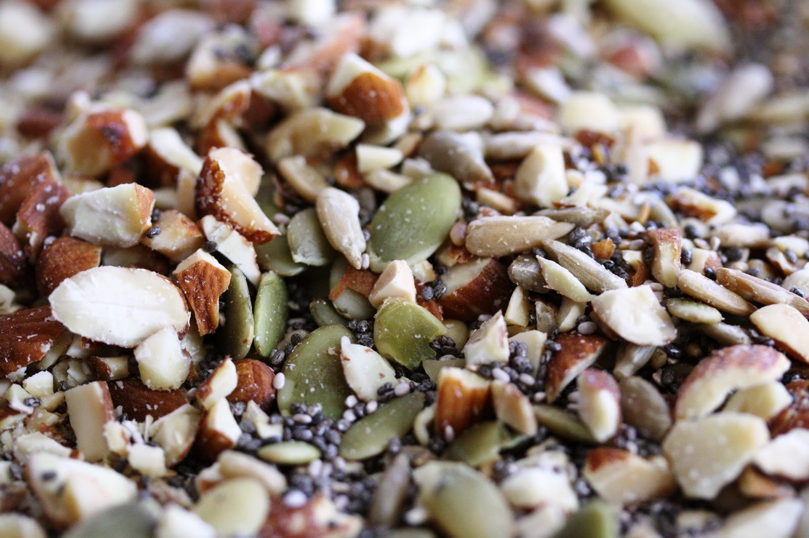 Tricia's kitchen sink nut, seed and granola bars Saving Room for