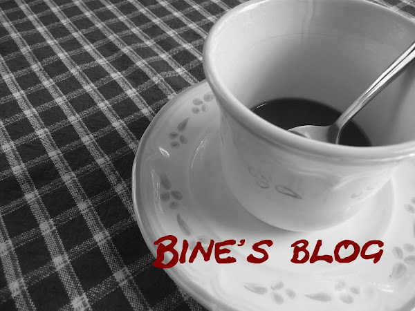 Bine's Blog