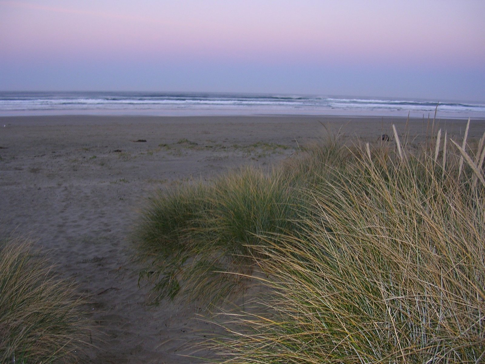 [Manzanita+Beach.JPG]