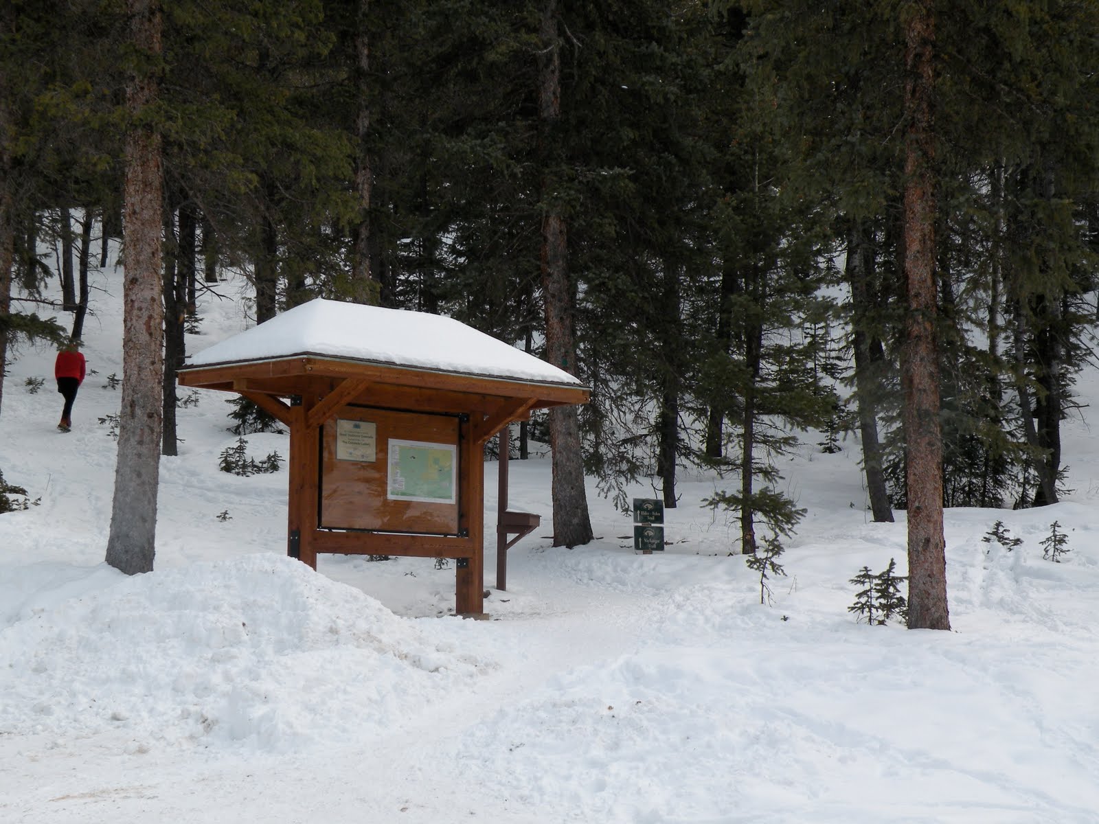 [beginning+of+Elder-Fehn.JPG]