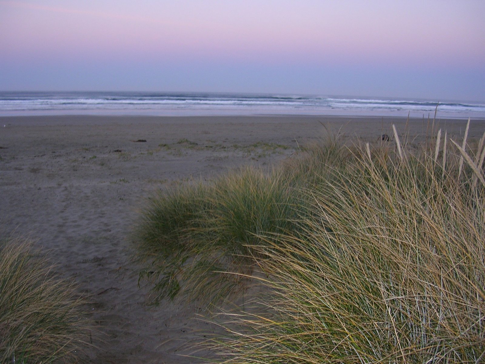 [Manzanita+Beach.JPG]