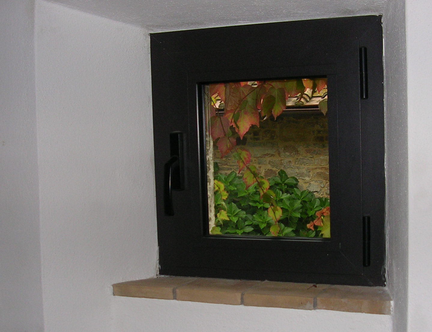 [DSCN0064_edited.jpg]