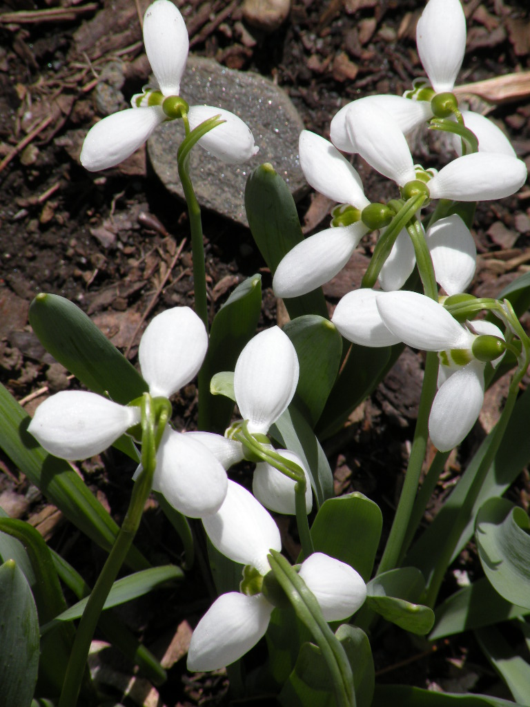 [Goddard+Spring+2009+004.JPG]