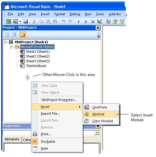 [0904ExcelFunctions_InsertModule.JPG]