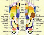 foot patch diagram