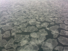 Pancake Ice