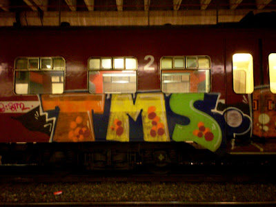 tms tags