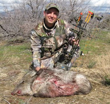 2010 Archery Javelina