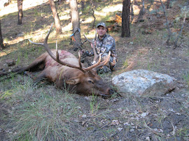 2010 Achery Elk