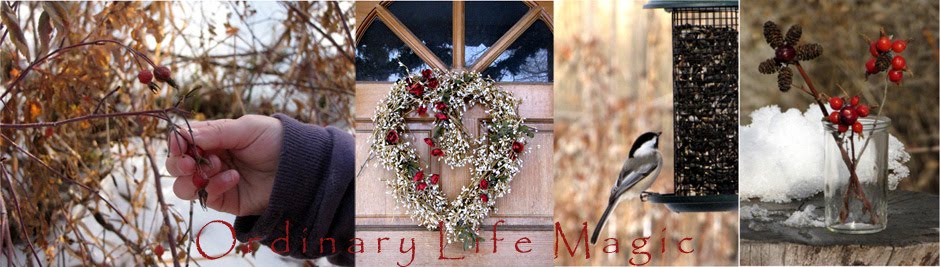 Ordinary Life Magic
