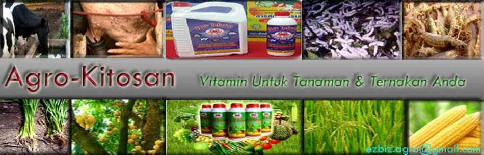 Agro Kitosan Apa Itu Kitosan