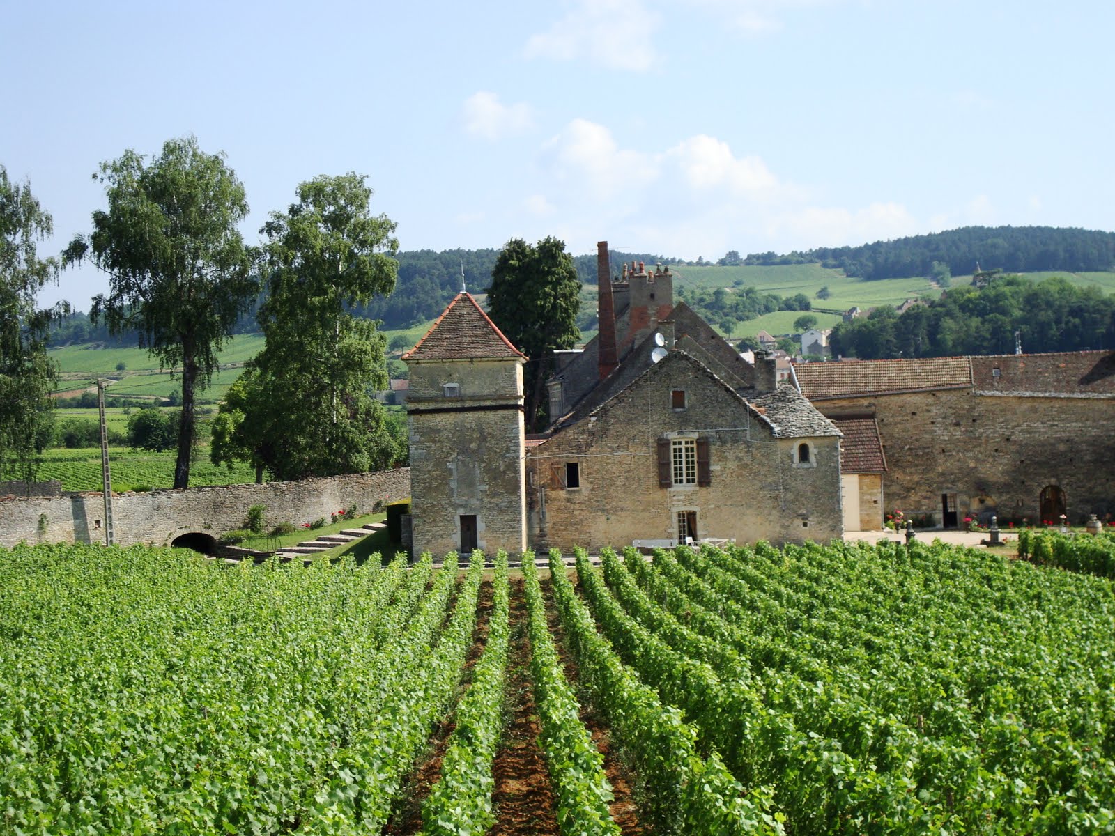 Meursault+old+manoir+July+2010.JPG