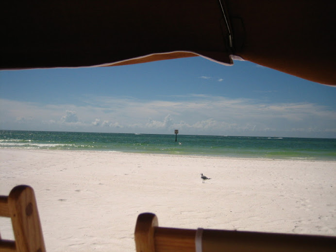 Clearwater Beach at the Sandpearl