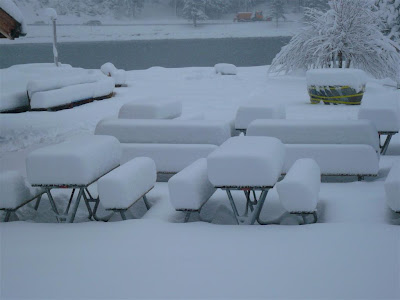 Gabrielas Tagebuch Dezember 2006