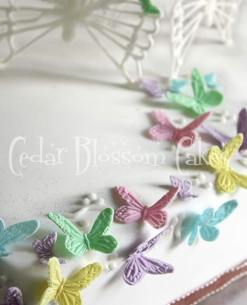 Butterflies Cake Decorating Ideas 830 x 1024 · 67 kB · jpeg