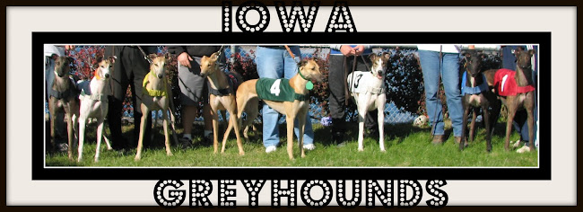 Iowa Greyhounds