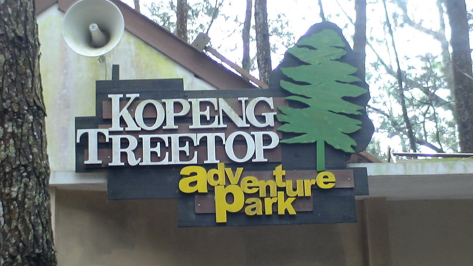 Info Wisata Kopeng Kopeng Treetop Adventure