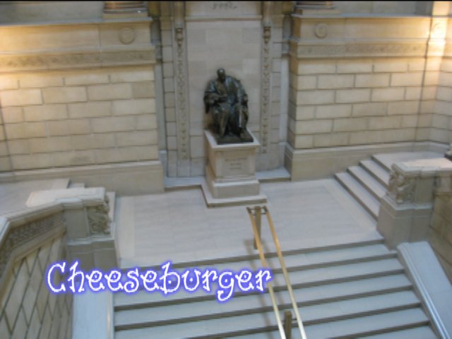 [FreeLibrarySet1.jpg]