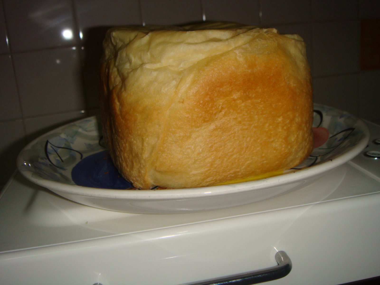 [DSC01433.JPG]