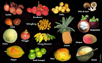 Les fruits exotiques de Bali.