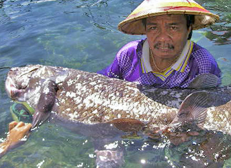 [coelacanth.jpg]