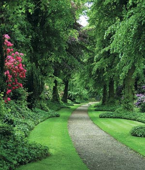Natural Landscape, Landscape Image, Landscape Pictues