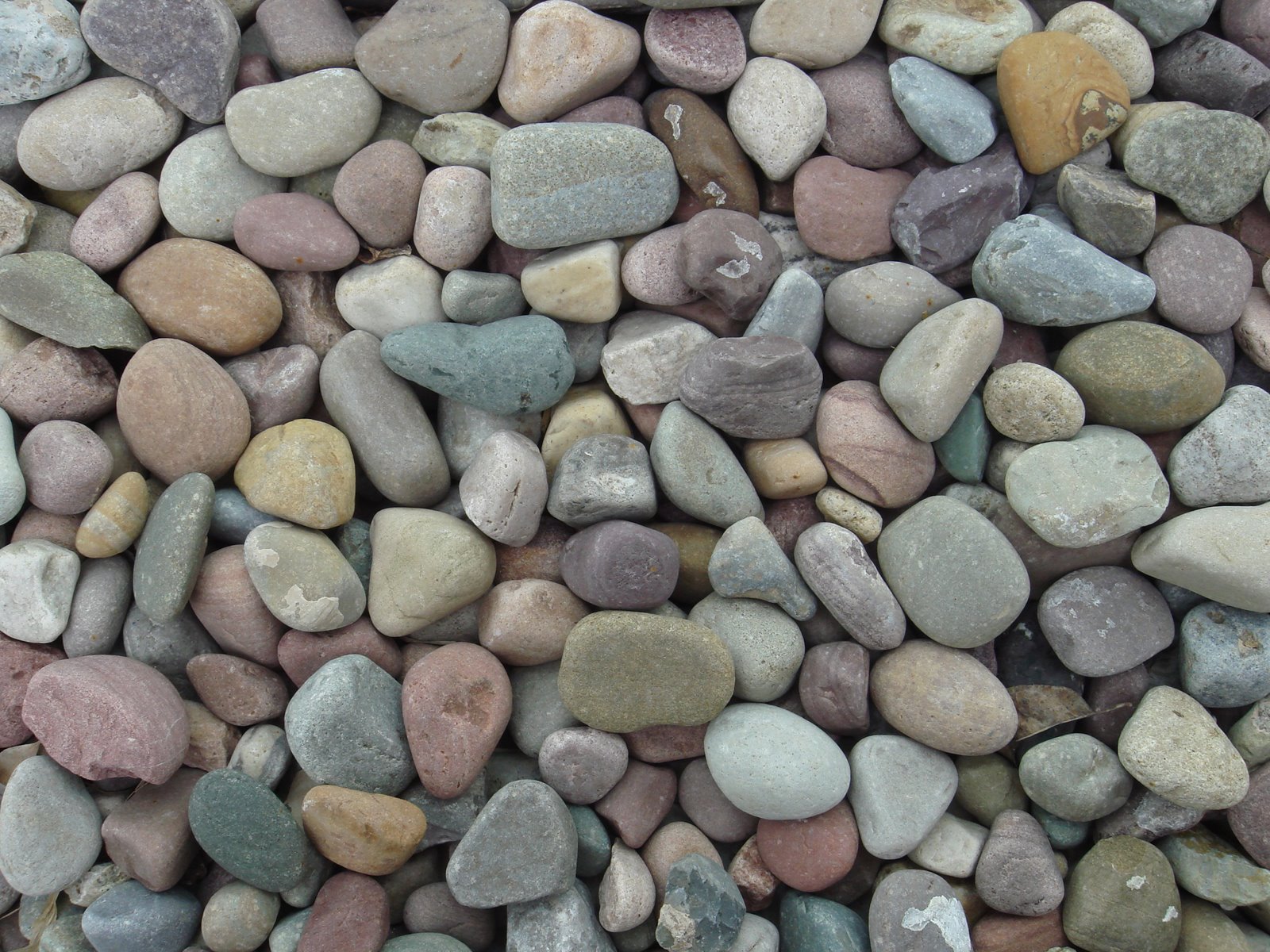 [DSC00076.JPG]