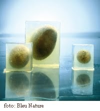 Anette Willemine Page 6 Chan 7934658 Rssing Com