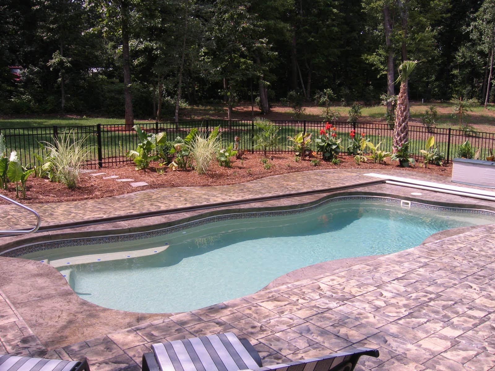 A Splash of Paradise Pool Designs