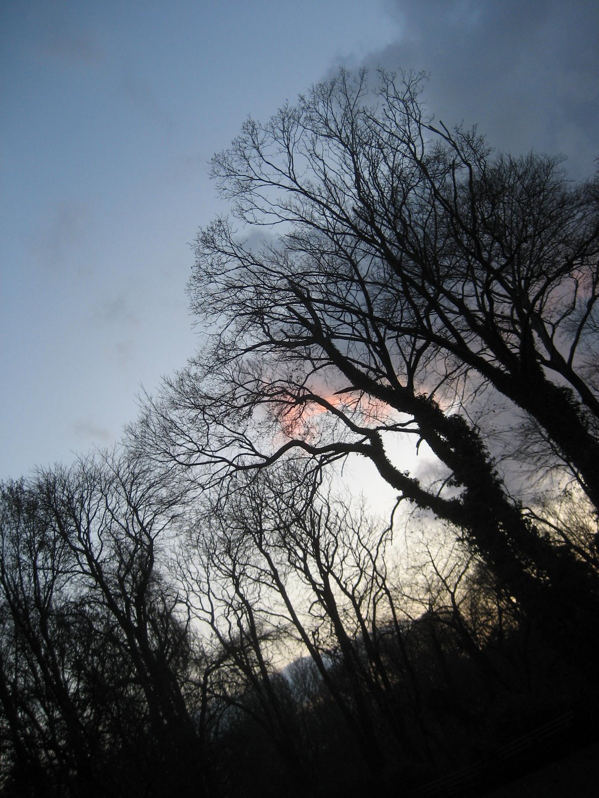 [IMG_2527.JPG]