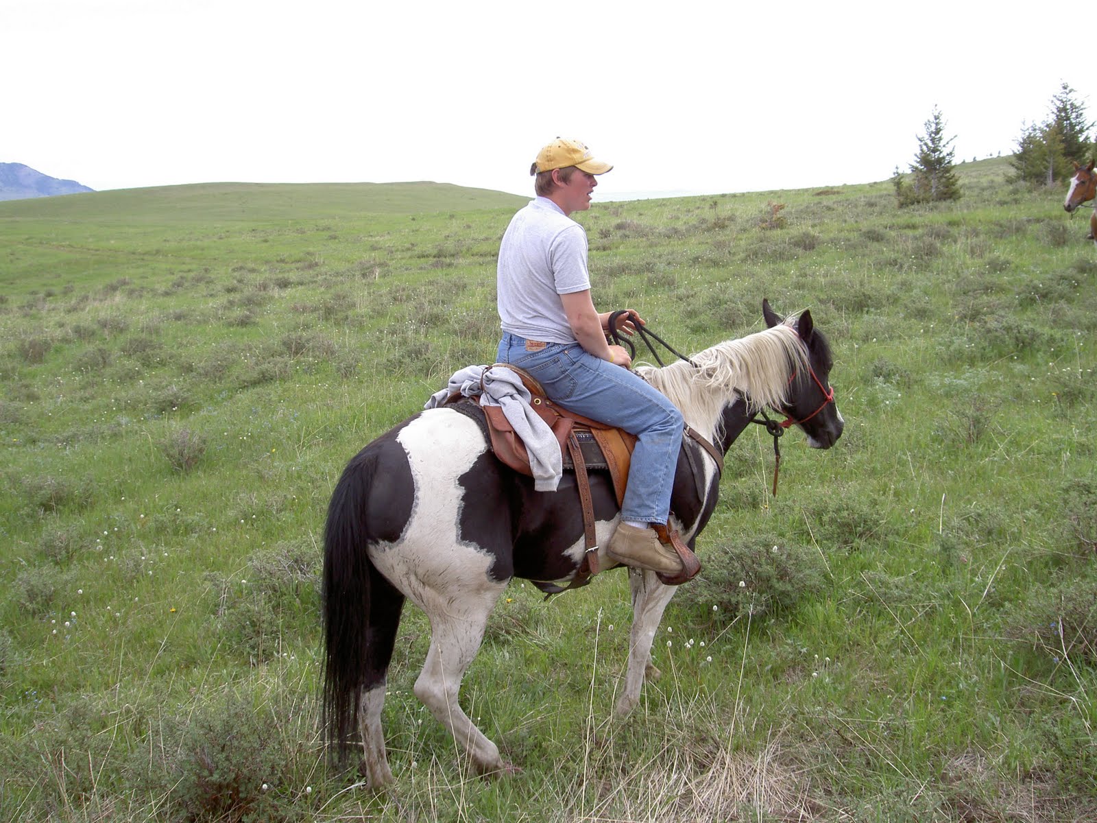 Manning Family Tree Sweet Grass Ranch in MontanaVacation