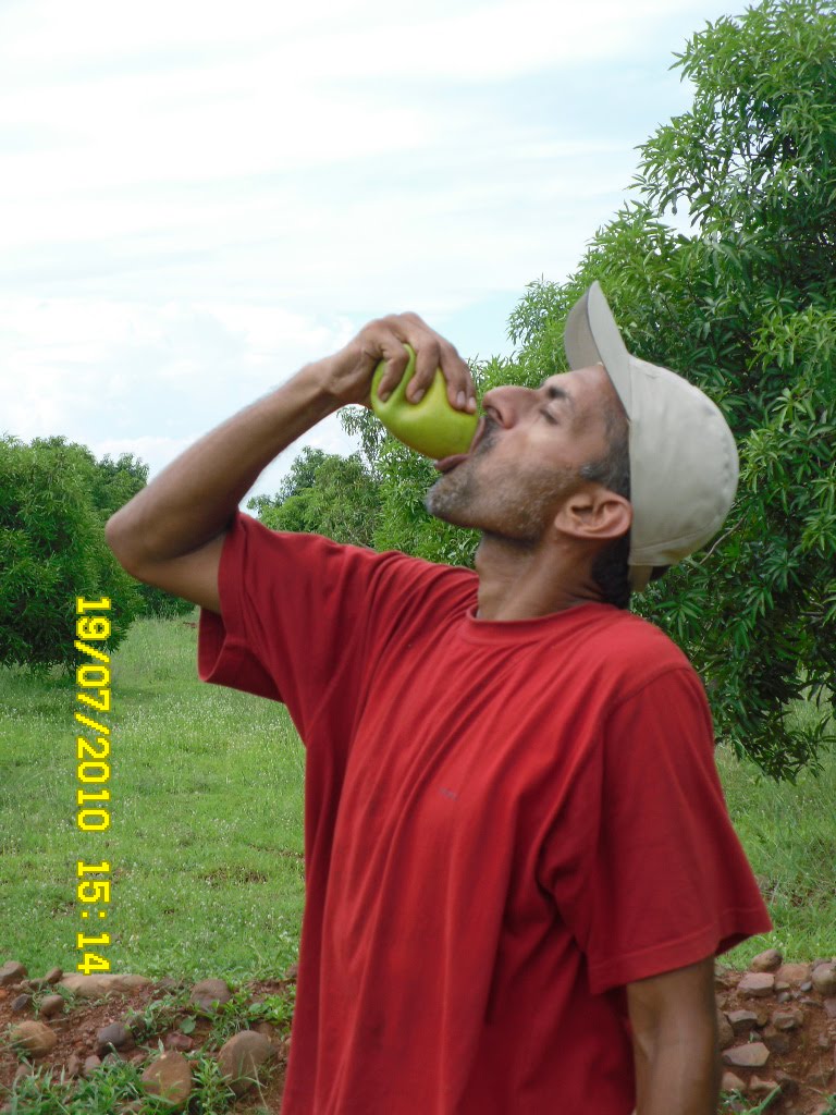 Eat Mango