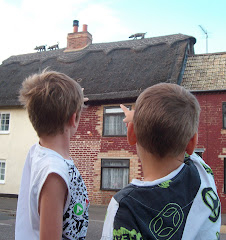 Rooftop Pigs