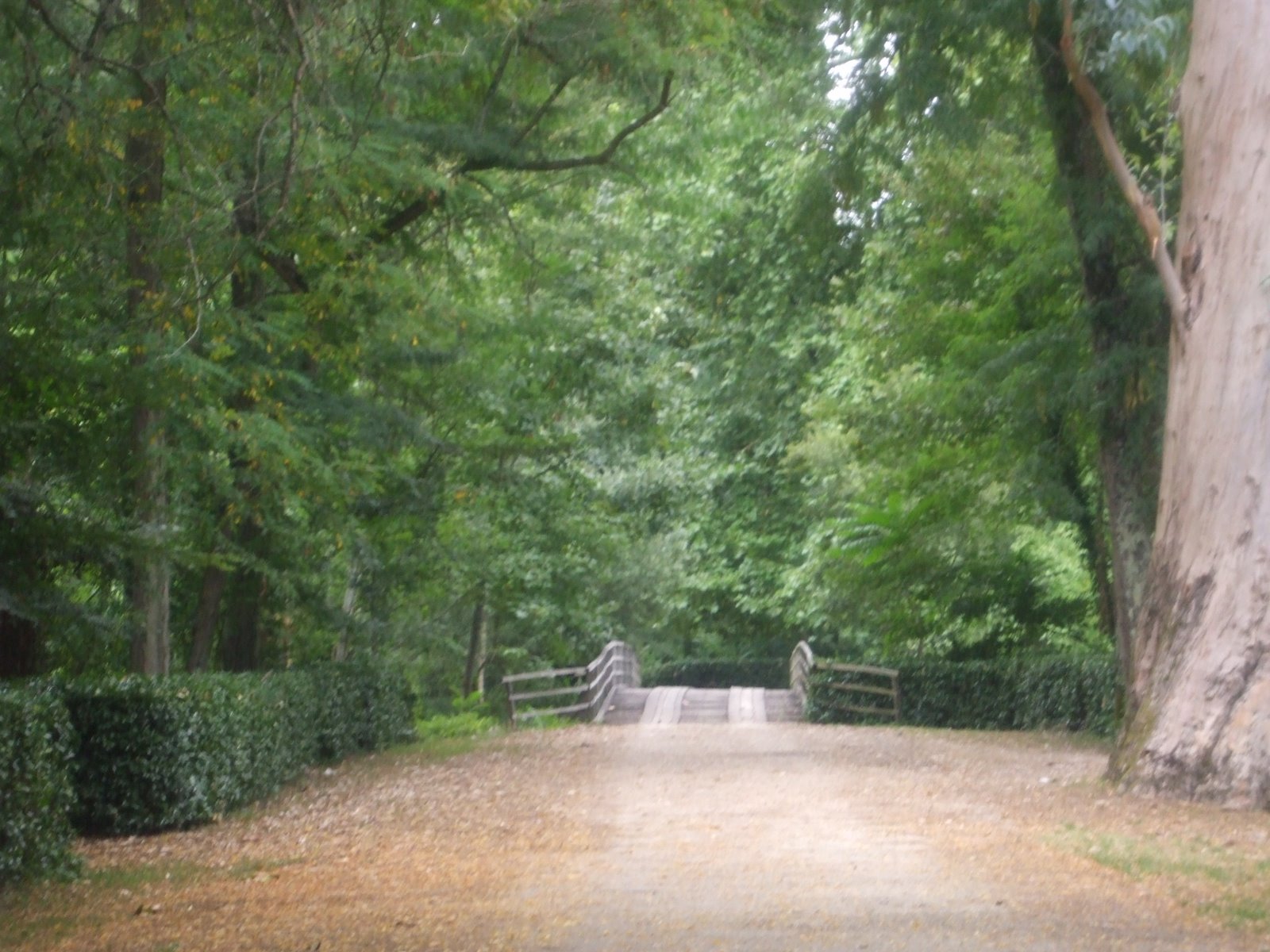[DSCF6350.JPG]