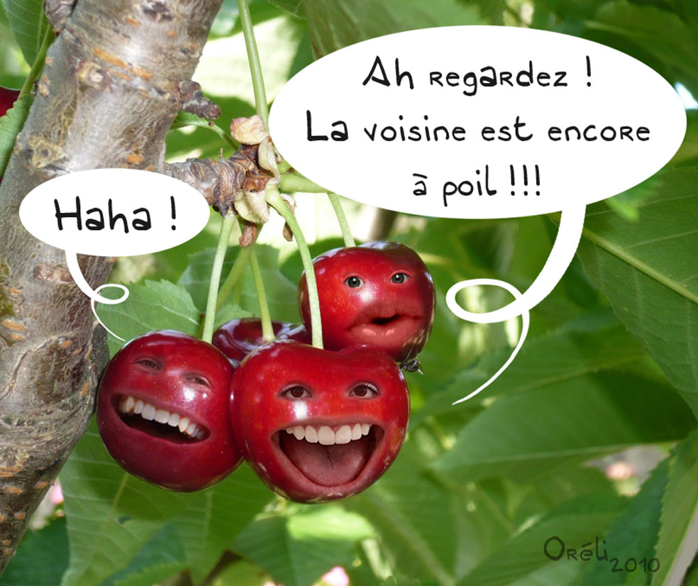 [CERISES.jpg]