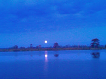 Moon setting on the Waccamaw River