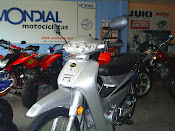 MONDIAL LD110S