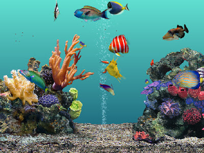 aqua real 2 screensaver free download aqua real 2 screensaver free download