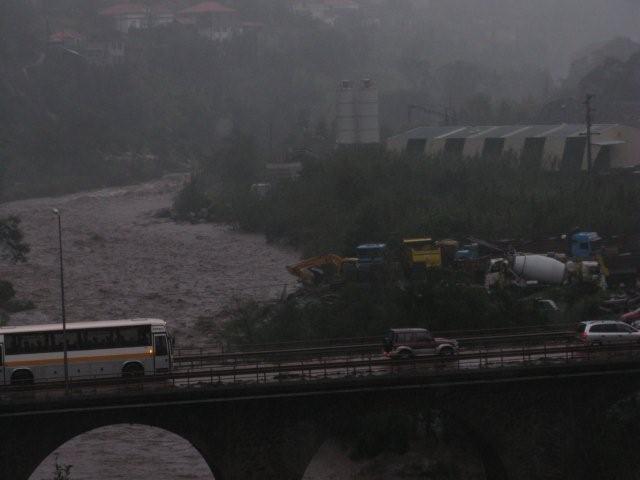 [Quintal03.JPG]