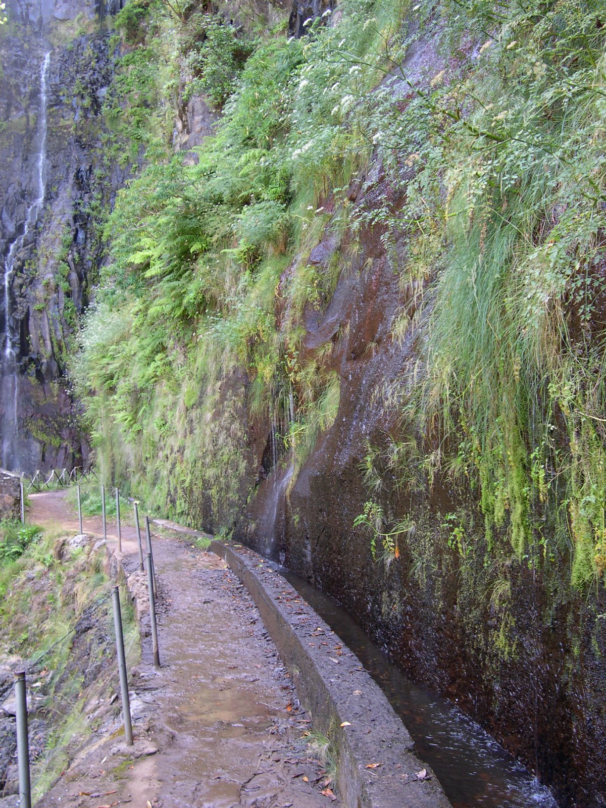 [Rabacal2004_01.JPG]