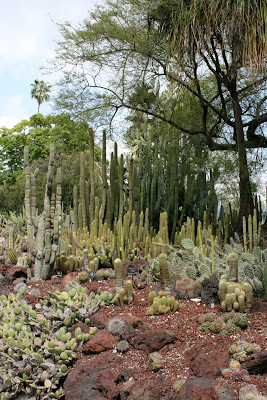 Desert Garden Huntington