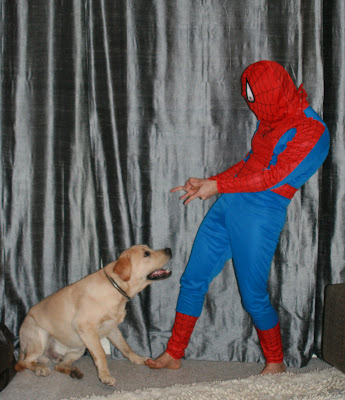 Halloween Spidey practices his web-shooters