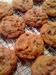 Toasted Walnut Chocolate Chip Cookies