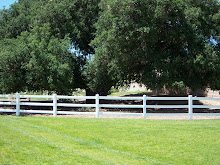 the oaks...where we live and walk...