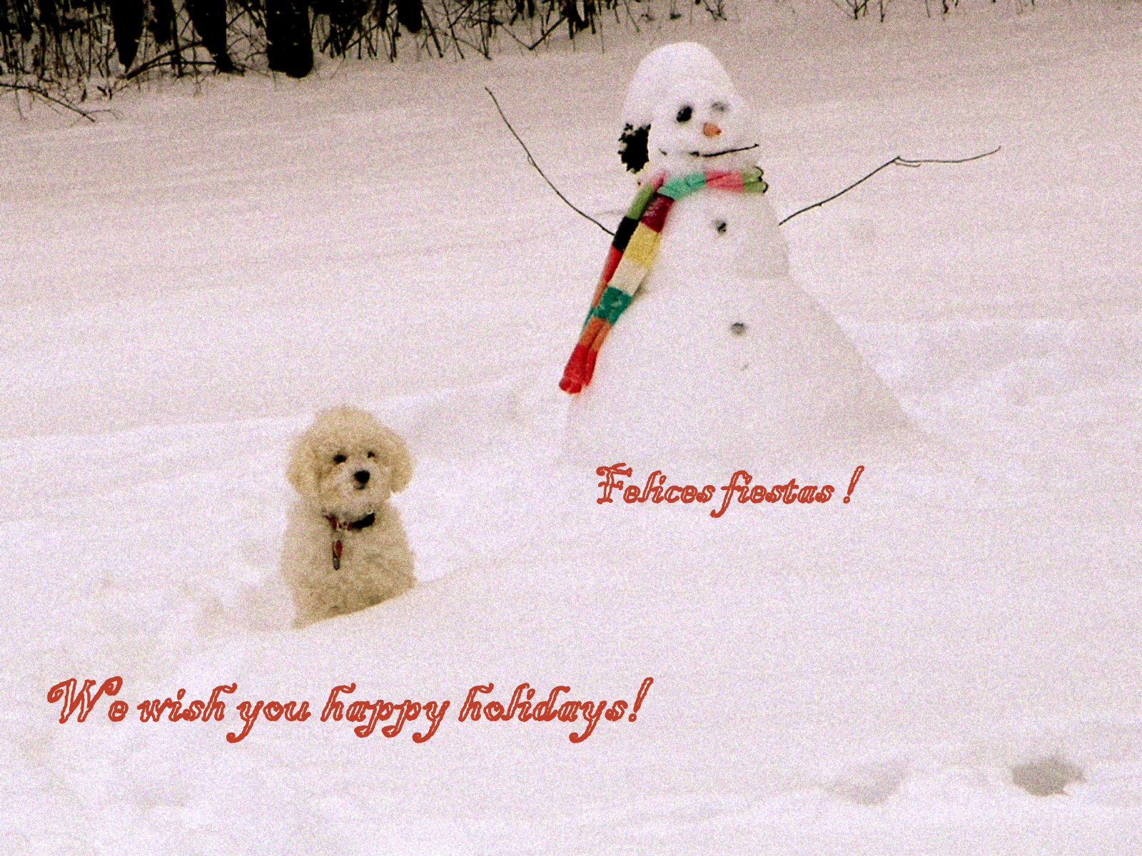 [hello+kitty+067.JPG]