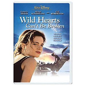wild hearts cant be broken lyrcs wild hearts cant be broken lyrcs